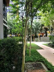 Coco Palms (D18), Condominium #602229191
